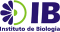 logo IB