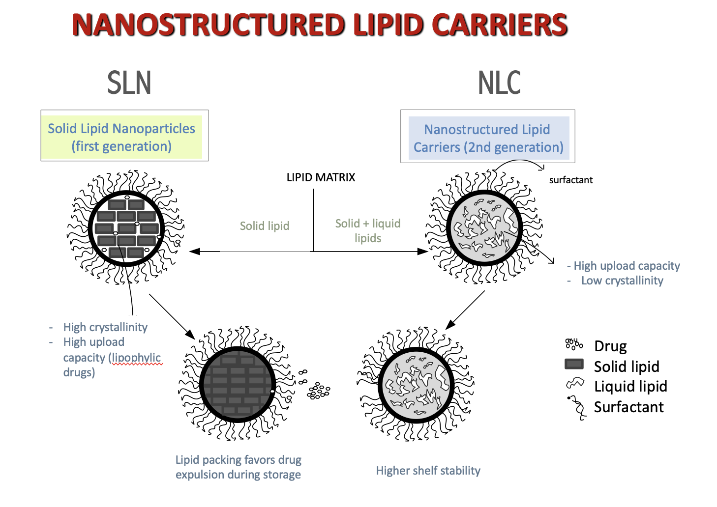 Carneadores lipídicos nanoestruturadas